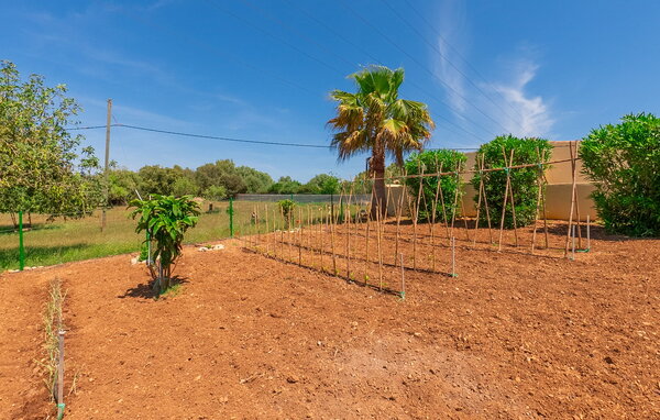 Holiday Home - Sauma, Arta , Spain - EMF267 106