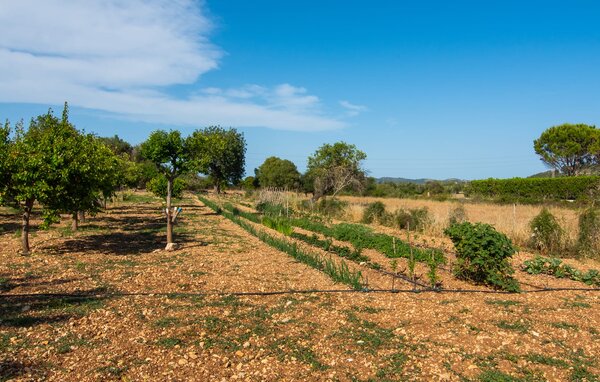 Ferienhaus - Sa Granja, Arta , Spanien - EMF289 111