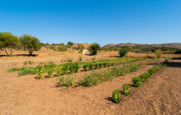 Holiday Home - Sa Bogura, Arta , Spain - EMF322 116