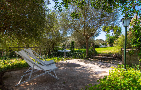 Ferienhaus - Na Palada, Arta , Spanien - EMF510 104