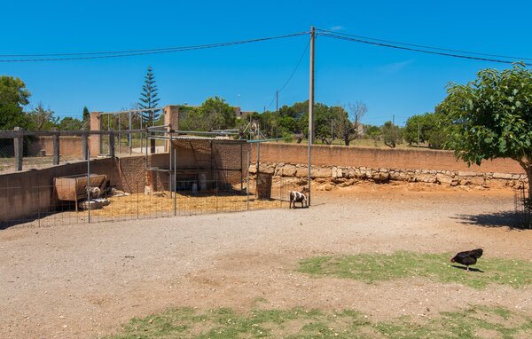Ferienhaus - Na Banya, Sant Llorenc , Spanien - EMF540 901