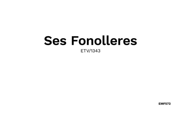 Ferienhaus - Ses Fonolleres, Son Servera , Spanien - EMF572 901