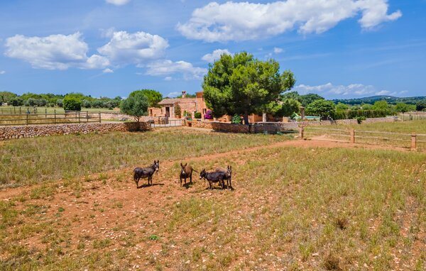 Vakantiehuis - La Mallorquina, Manacor , Spanje - EMF599 901