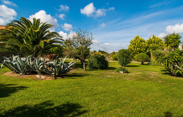 Vakantiehuis - Na Cursunera, Arta , Spanje - EMF601 110