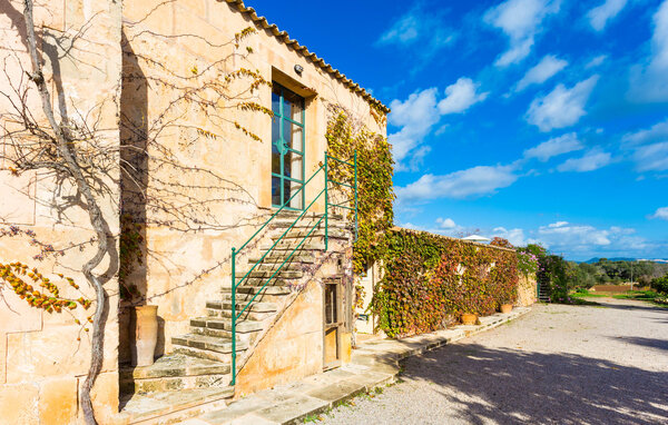 Appartamento - Sa Cova Cabrera, Campos , Spagna - EMF605 101