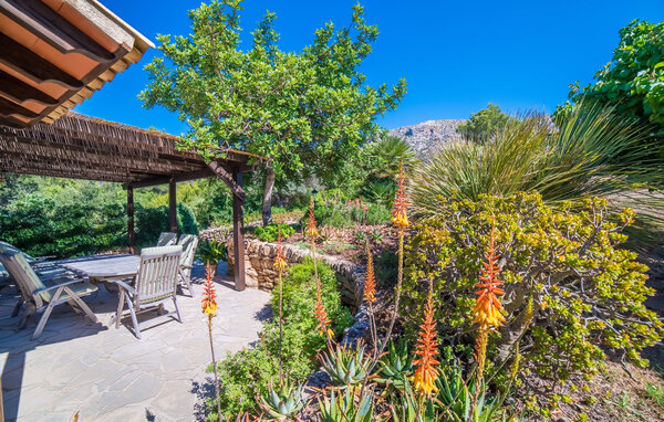 Location de vacances - Can Ses Figueres, Colonia de Sant Pere , Espagne - EMF630 109