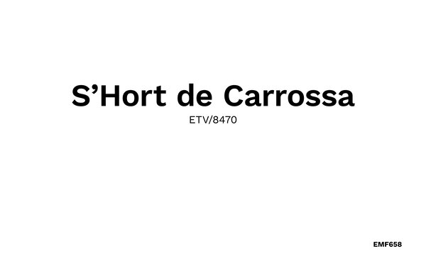 Holiday Home - S'Hort de Carrossa, Arta , Spain - EMF658 901
