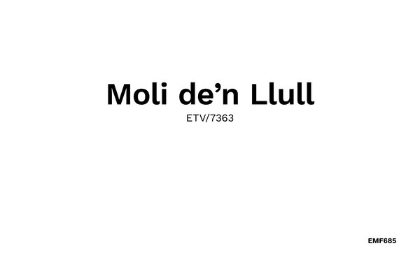Holiday Home - Es Moli den Llull, Sant Llorenc , Spain - EMF685 901