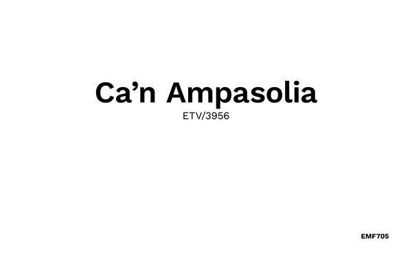 Holiday Home - Can Ampasolia, Campos , Spain - EMF705 901