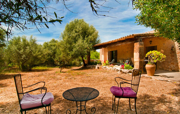 Appartamento - Agroturismo Es Rebost, Manacor , Spagna - EMF745 119