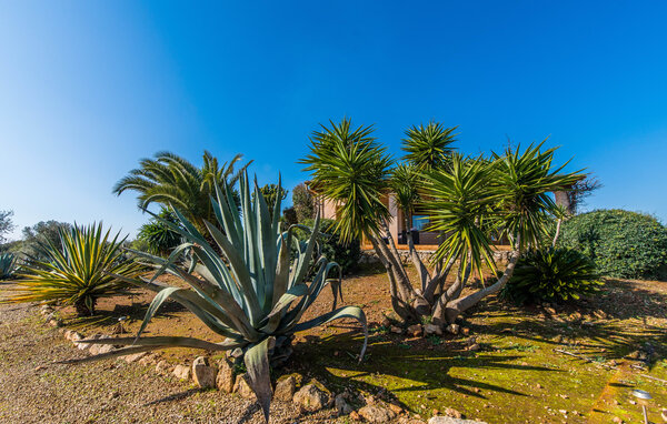 Location de vacances - Mi Vida, Santanyi , Espagne - EMF819 110