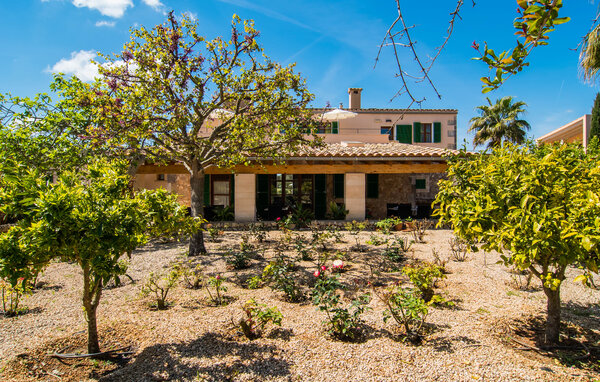 Lejlighed - Son Capellot Tres, Felanitx , Spanien - EMF854 83