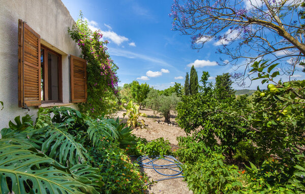 Holiday Home - Sa Caseta den Tronca, Sant Joan , Spain - EMF875 105