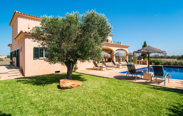 Holiday Home - Es Vinyolet de Campos, Campos , Spain - EMF915 81