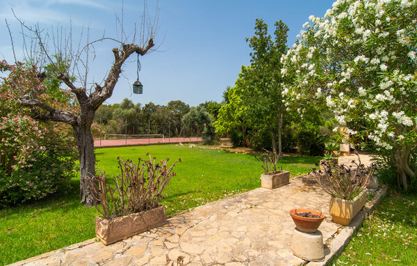 Ferienhaus - Can Roig Gran, Pollenca , Spanien - EMF919 110