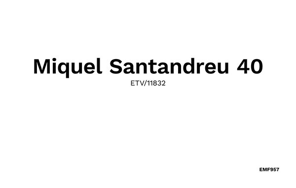 Vacation home Miquel Santandreu 40