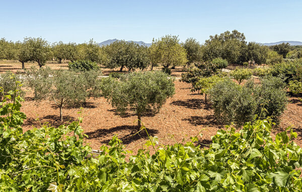 Ferienhaus - Son Coix Nou, Porreres , Spanien - EMF979 201