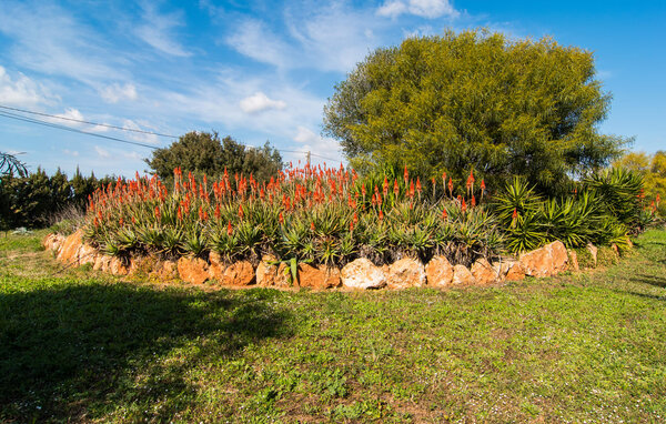 Ferienhaus - Es Revolt de Sa Barrala, Ses Covetes , Spanien - EMF980 104