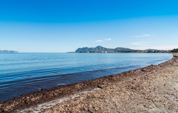 Lejlighed - Sa Fornera, Alcudia , Spanien - EMF985 903