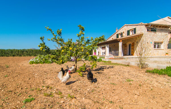 Casa de vacaciones - Can Ferrer, Alcudia , España - EMF989 85