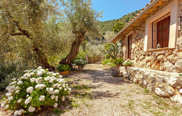 Semesterhus - Rustica Es Seguers, Fornalutx , Spanien - EMI029 103