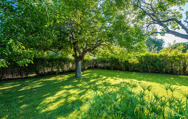 Location de vacances - Can Jaume d'Es Carritxo, Felanitx , Espagne - EMI077 105