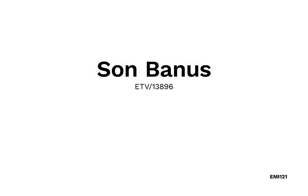 Feriehuse - Son Banus, Manacor , Spanien - EMI121 901