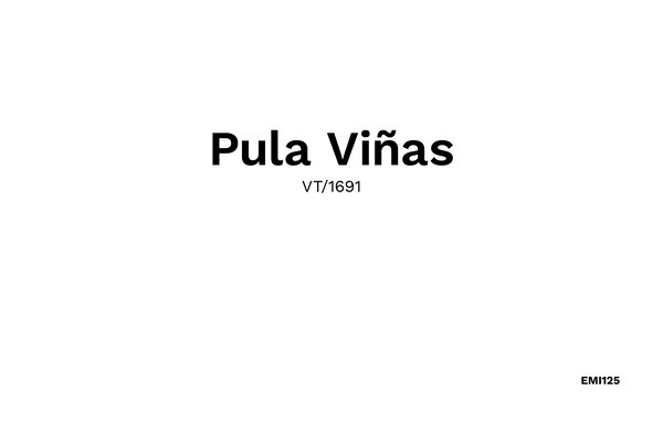 Holiday Home - Pula Vinas, Son Servera , Spain - EMI125 901