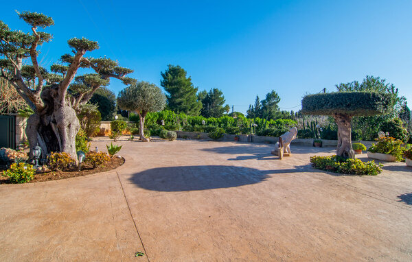 Holiday Home - Pula Vinas, Son Servera , Spain - EMI125 101