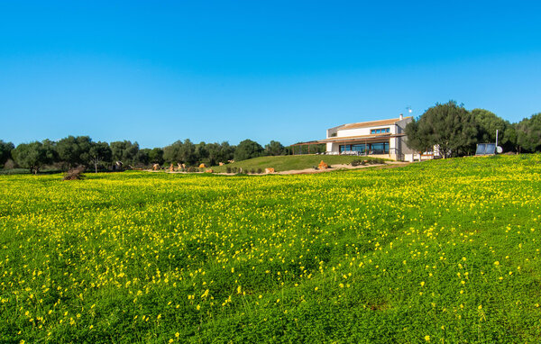 Location de vacances - Can Maimo Nou, Santanyi , Espagne - EMI142 83