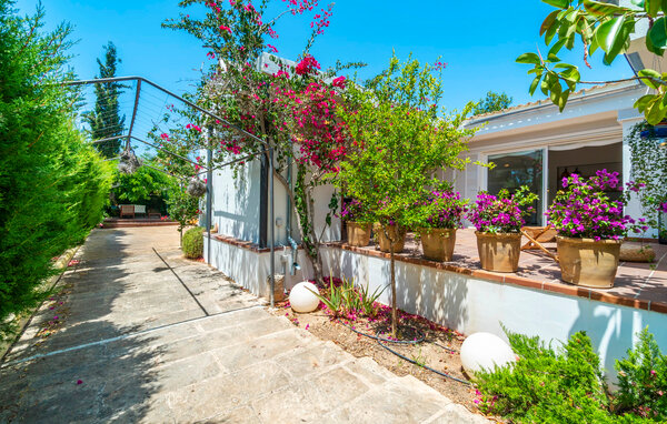 Ferienhaus - Ca'n Pop d'es Trenc, Sa Rapita , Spanien - EMI143 103