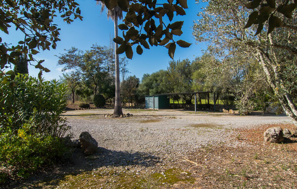 Ferienhaus - Villa Joana del Cami de Marina, Pollenca , Spanien - EMI200 108