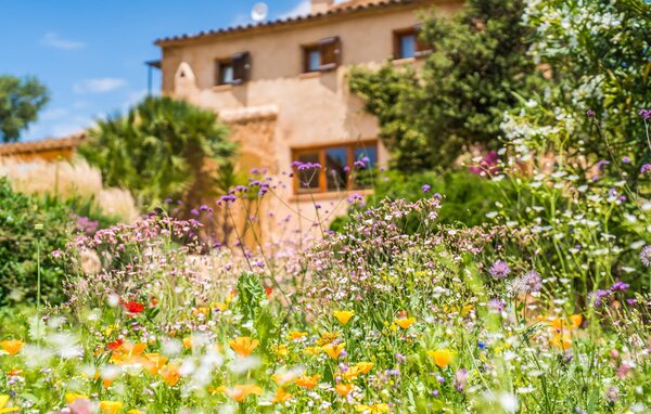 Feriehuse - Can Tian de Llevant, Manacor , Spanien - EMI229 106