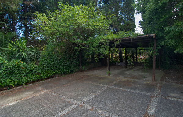 Ferienhaus - Can Papalaia, Pollenca , Spanien - EMI236 104