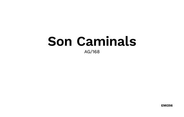 Holiday Home - Son Caminals, Arta , Spain - EMI256 901