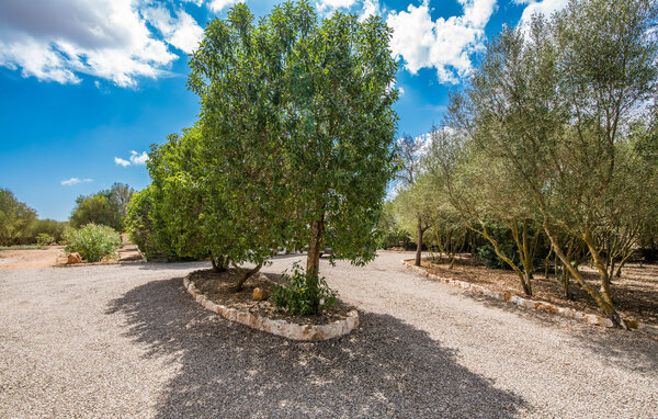 Ferienhaus - Casa Son Moix, Manacor , Spanien - EMI263 112