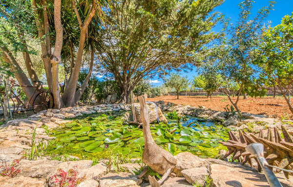 Holiday Home - Es Lledoner Dos, Felanitx , Spain - EMI326 111