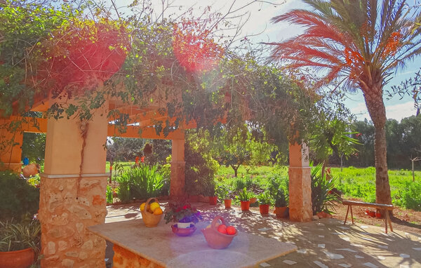 Vakantiehuis - Son Antem, Llucmajor , Spanje - EMI429 108