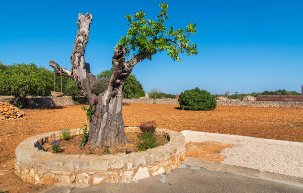Ferienhaus - Son Garrot de Santanyi, Santanyi , Spanien - EMI460 109