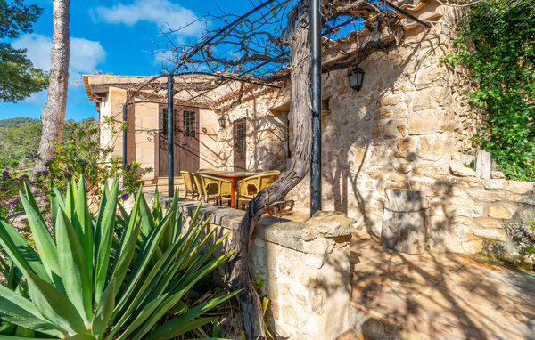 Ferienwohnung - Son Torrat Es Colomo, Petra , Spanien - EMI466 7