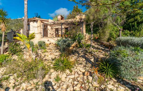 Ferienwohnung - Son Torrat Es Colomo, Petra , Spanien - EMI466 102