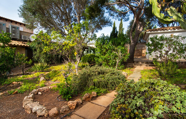 Ferienhaus - Calimero Alegria, Palma , Spanien - EMI546 107