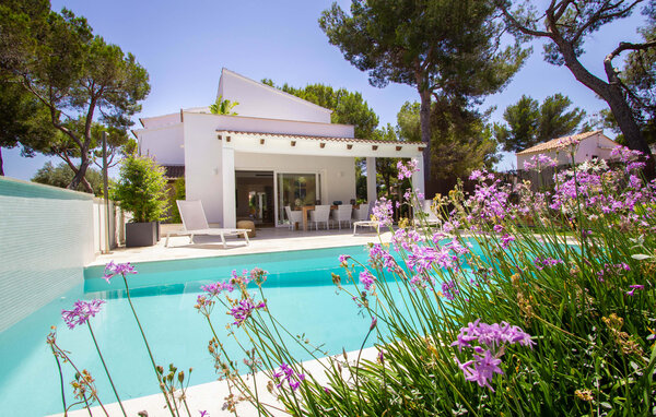Ferienhaus - Alegria Mediterranea, Calvia , Spanien - EMI555 3