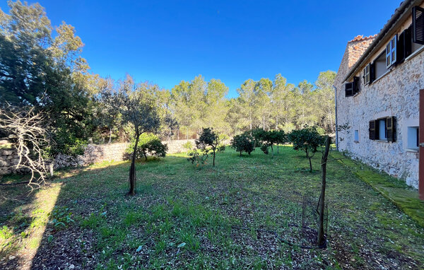 Vacation home Son Amer des Pla