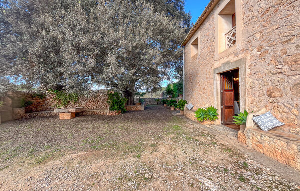 Vacation home Son Amer des Pla