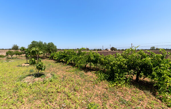 Ferienhaus - Felanitx , Spanien - EMI586 105