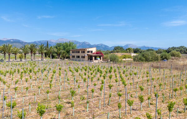 Casa de vacaciones - Binissalem , España - EMI621 84