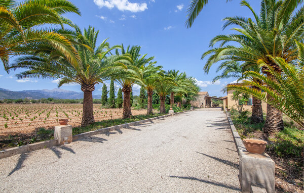 Casa de vacaciones - Binissalem , España - EMI621 7