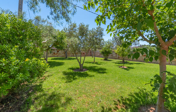 Ferienhaus - Maria de la Salut , Spanien - EMI624 110