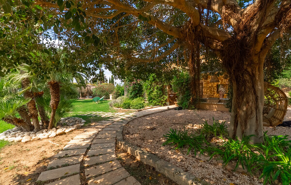 Ferienhaus - Binissalem , Spanien - EMI626 113